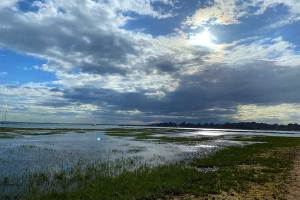 Bosham coastal walks