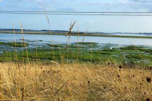 Langston Harbour