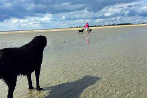 Sand bar at Hayling Island